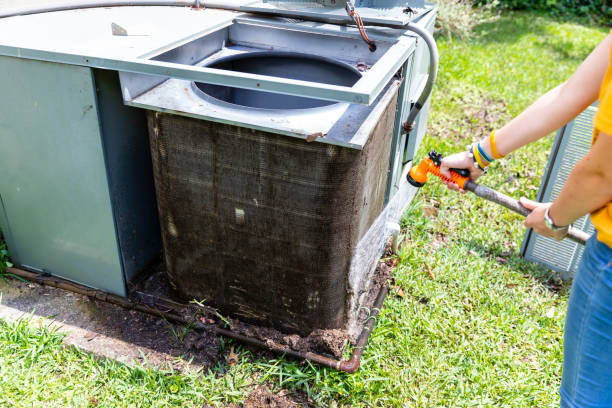 Best Air Duct Mold Removal  in Oglesby, IL