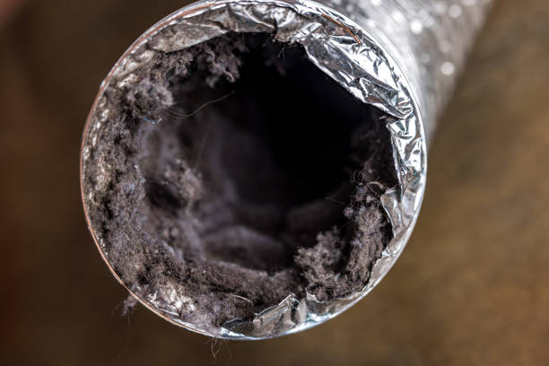 Best Dryer Vent Cleaning Services  in Oglesby, IL