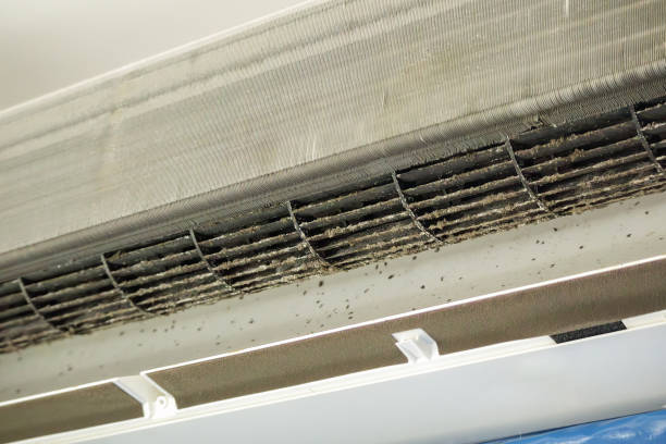 Best Air Duct Cleaning Near Me  in Oglesby, IL